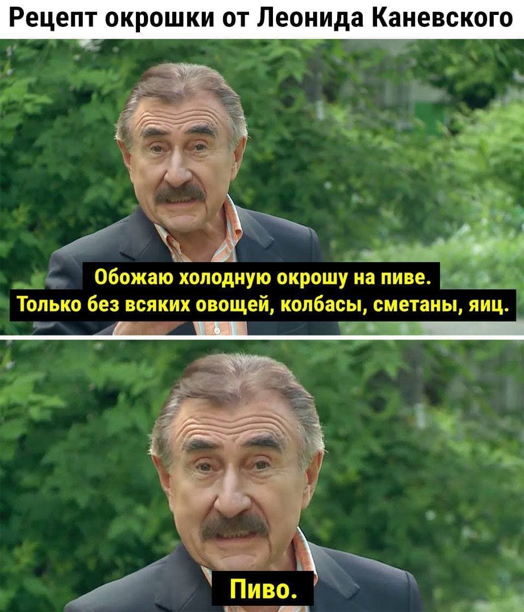 т окрошки от Леонида Каневского Шн Обожаю холодную окрошу на пиве Только без всяких овощей колбасы сметаны яиц