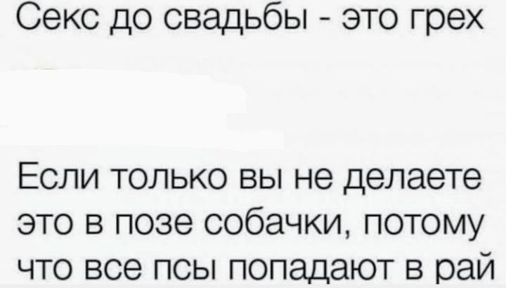 Секс до свадьбы это грех Если только вы не делаете это в позе собачки потому что все псы попадают в рай