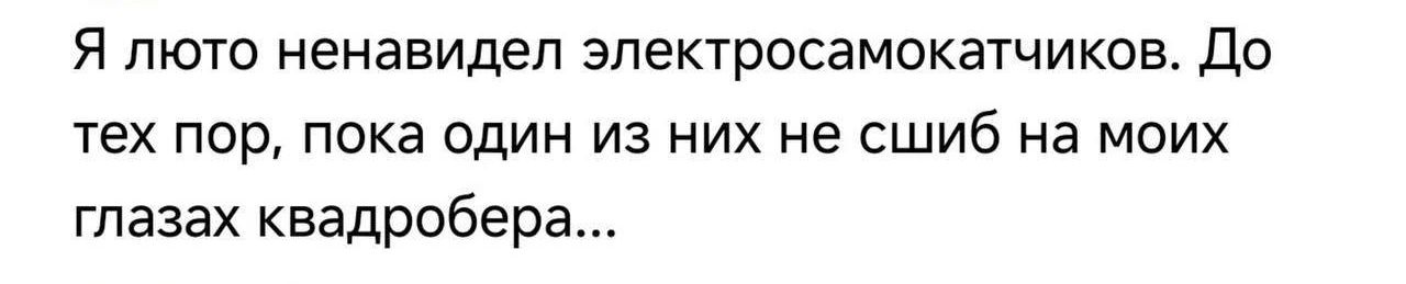 Я люто ненавидел электросамокатчиков До тех пор пока один из них не сшиб на моих глазах квадробера