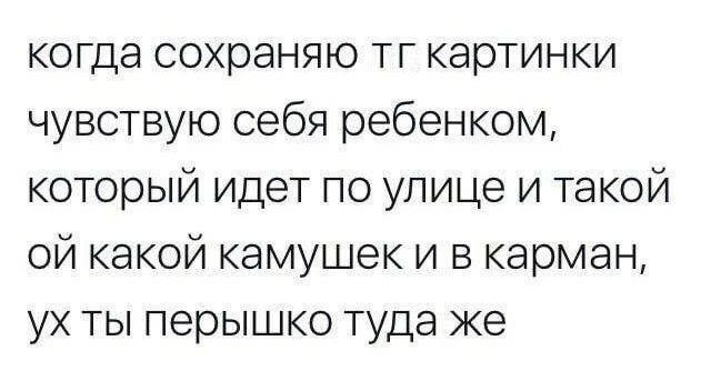 когда сохраняю тг картинки чувствую себя ребенком который идет по улице и такой ой какой камушек и в карман ух ты перышко туда же