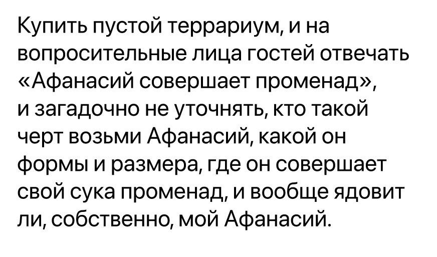 Купить пустой террариум и на вопросительные лица гостей отвечать Афанасий совершает променад и загадочно не уточнять кто такой черт возьми Афанасий какой он формы и размера где он совершает свой сука променад и вообще ядовит ли собственно мой Афанасий