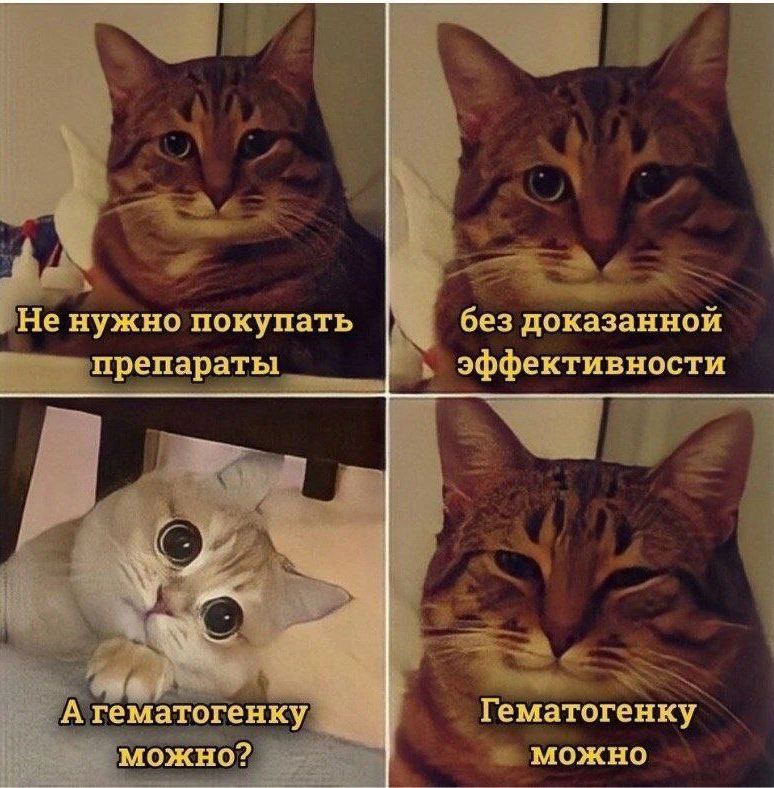 _ рае Тематогенку можно