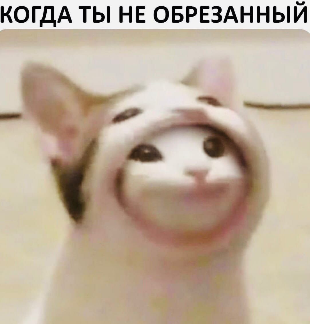 КОГДА ТЫ НЕ ОБРЕЗАННЫЙ _ ЁГ