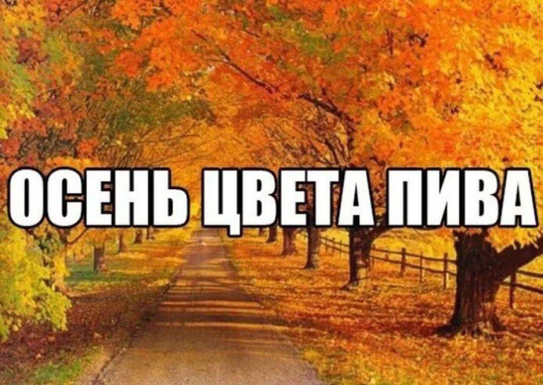 ВЕТА ПИВ ОСЕНЬ Ц е я х д 3