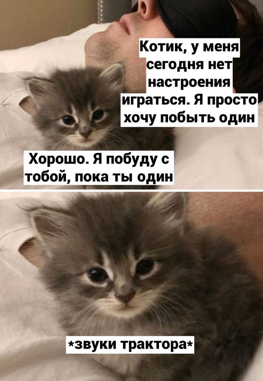 Котик у меня сегодня нет настроения играться Я просто хочу побыть один Хорошо Я побуду с тобой пока ты один звуки трактора