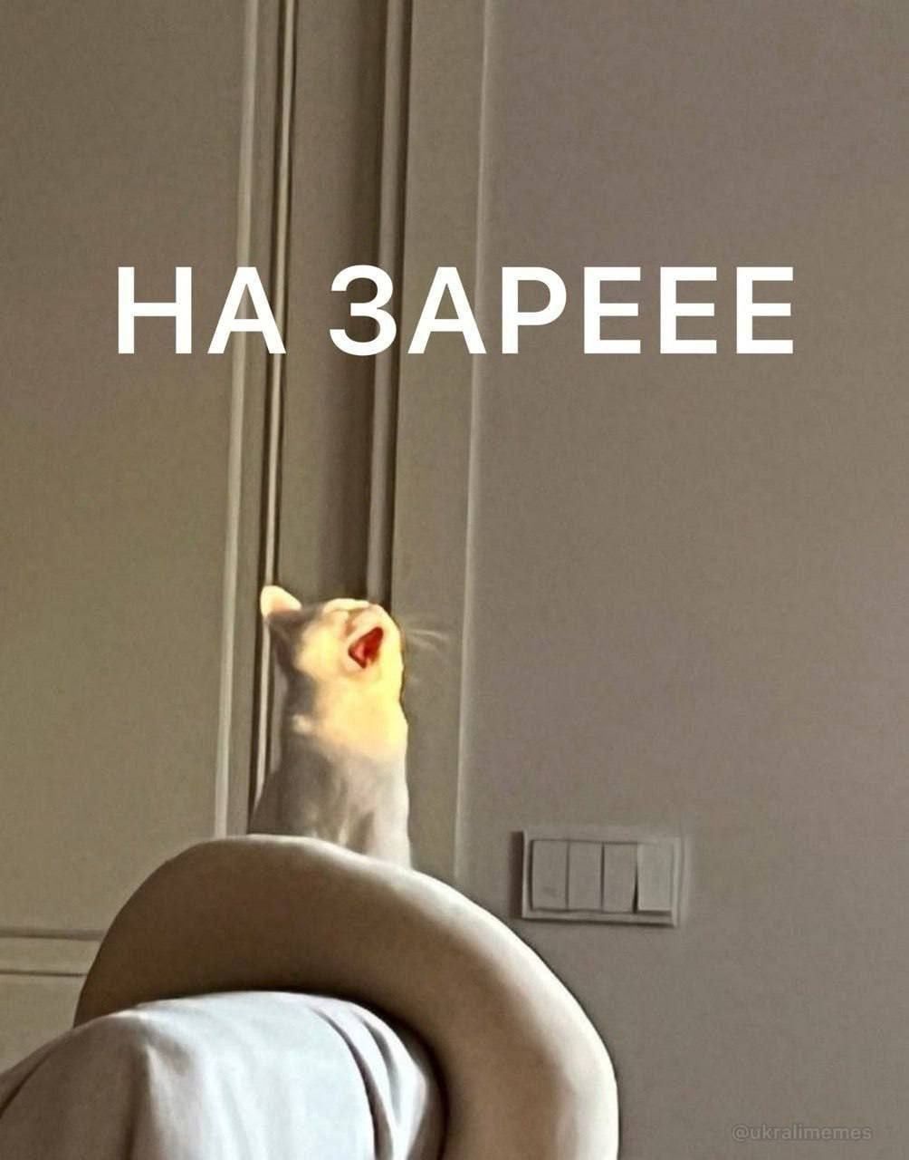 НА ЗАРЕЕЕ