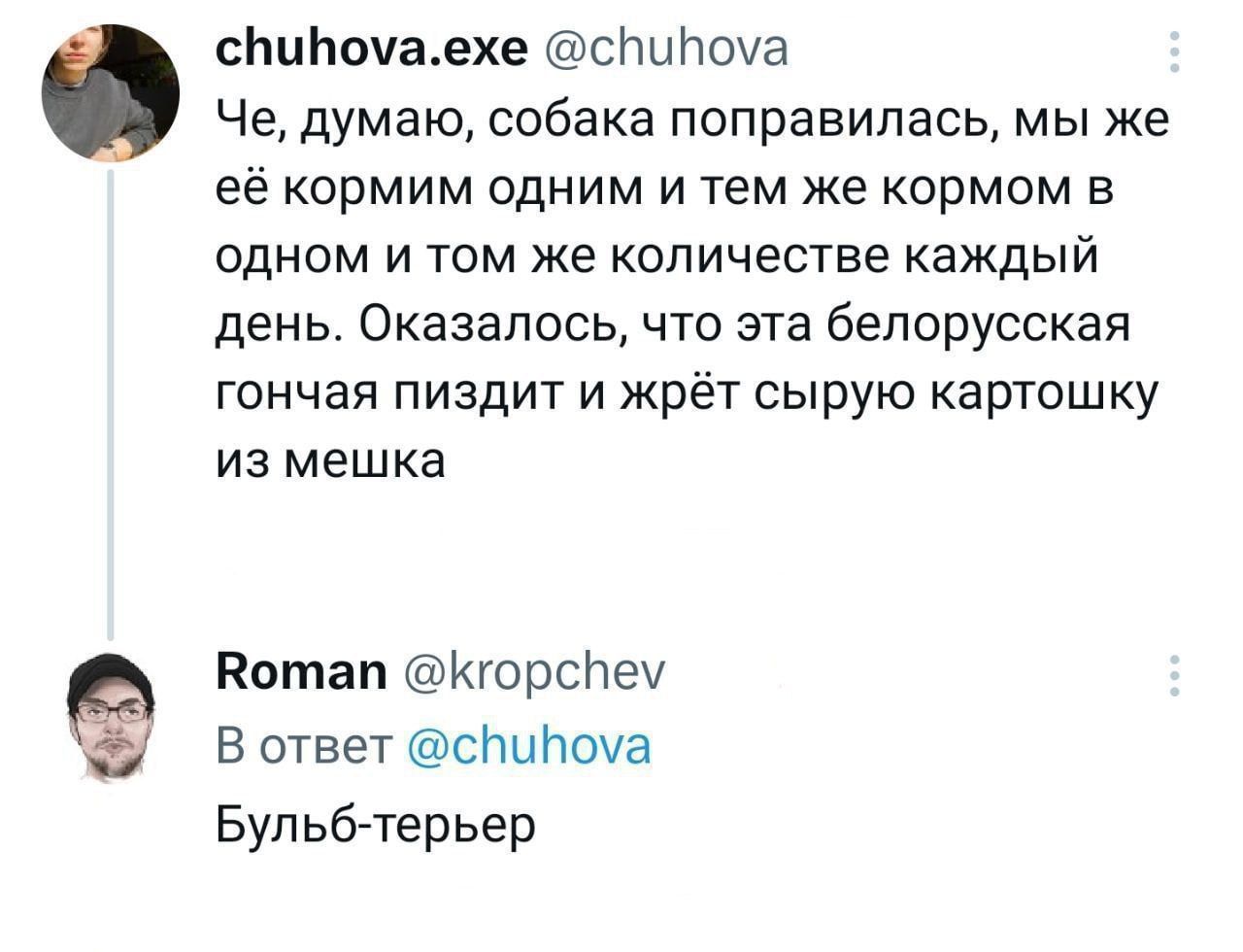 Э сЪибомаехе сПипоуа Че думаю собака поправилась мы же её кормим одним и тем же кормом в одном и том же количестве каждый день Оказалось что эта бепорусская гончая пиздит и жрёт сырую картошку из мешка Вотап КгорсПеу В ответ спипоуа Бульб терьер