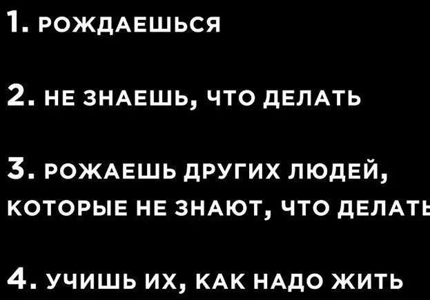 1 РОЖДАЕШЬСЯ 2 НЕ ЗНАЕШЬ ЧТО ДЕЛАТЬ РОЖАЕШЬ ДРУГИХ ЛЮДЕЙ КОТОРЫЕ НЕ ЗНАЮТ ЧТО ДЕЛАТЕ 4 учишь ИХ КАК НАДО ЖИТЬ