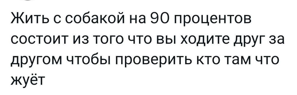 Жить с собакой на 90 процентов состоит из того что вы ходите друг за другом чтобы проверить кто там что жуёт