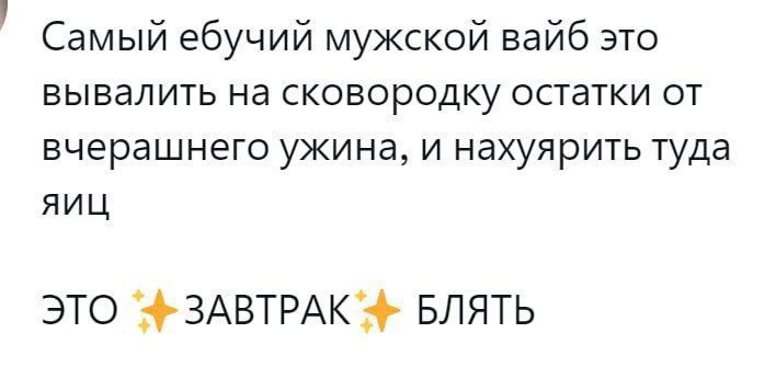 Самый ебучий мужской вайб это вывалить на сковородку остатки от вчерашнего ужина и нахуярить туда яиц ЭТО ЗАВТРАК БЛЯТЬ