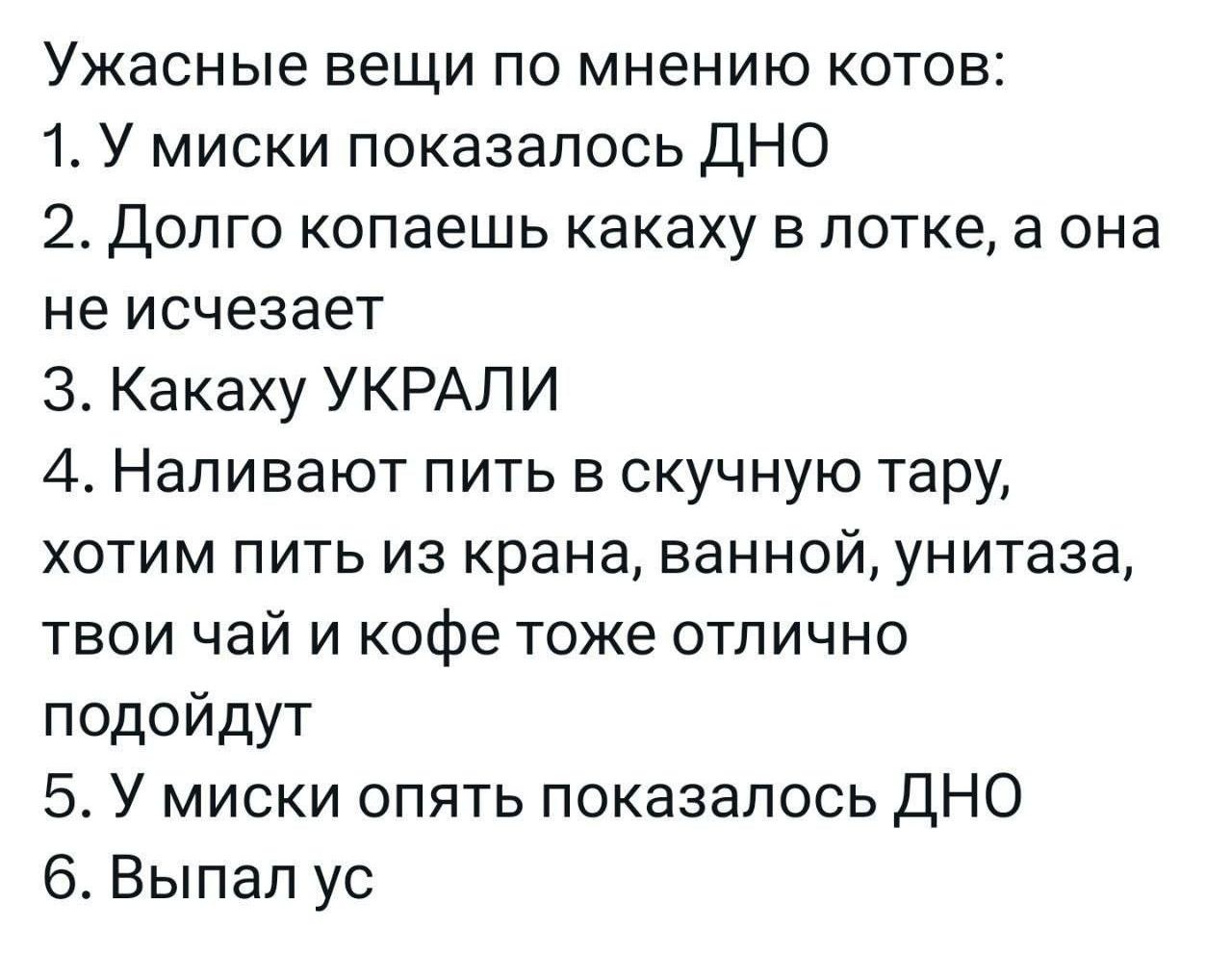 Ужасные вещи по мнению котов 1 У миски показалось ДНО 2 Долго копаешь какаху в лотке а она не исчезает З Какаху УКРАЛИ 4 Наливают пить в скучную тару хотим пить из крана ванной унитаза твои чай и кофе тоже отлично подойдут 5 У миски опять показалось ДНО 6 Выпал ус