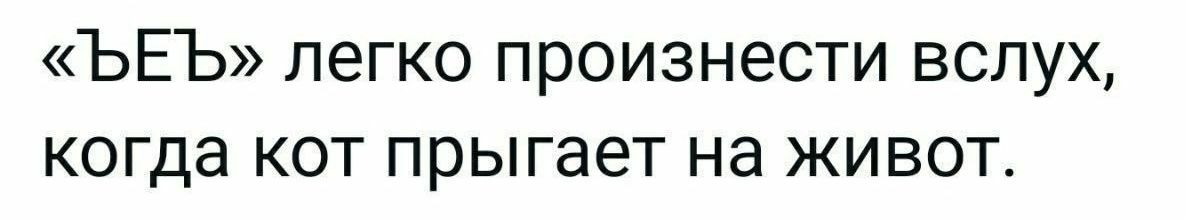 ЪЕЪ легко произнести вслух когда кот прыгает на живот