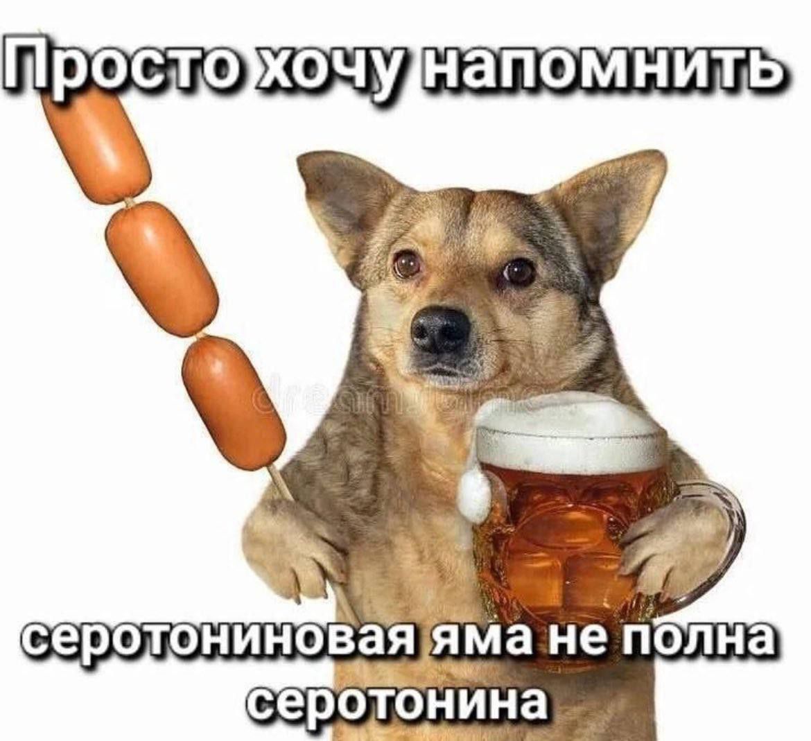 напомнить