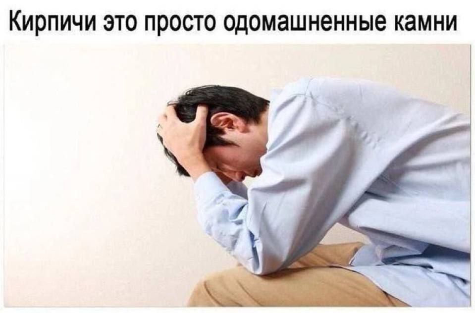 Кирпичи это просто одомашненные камни