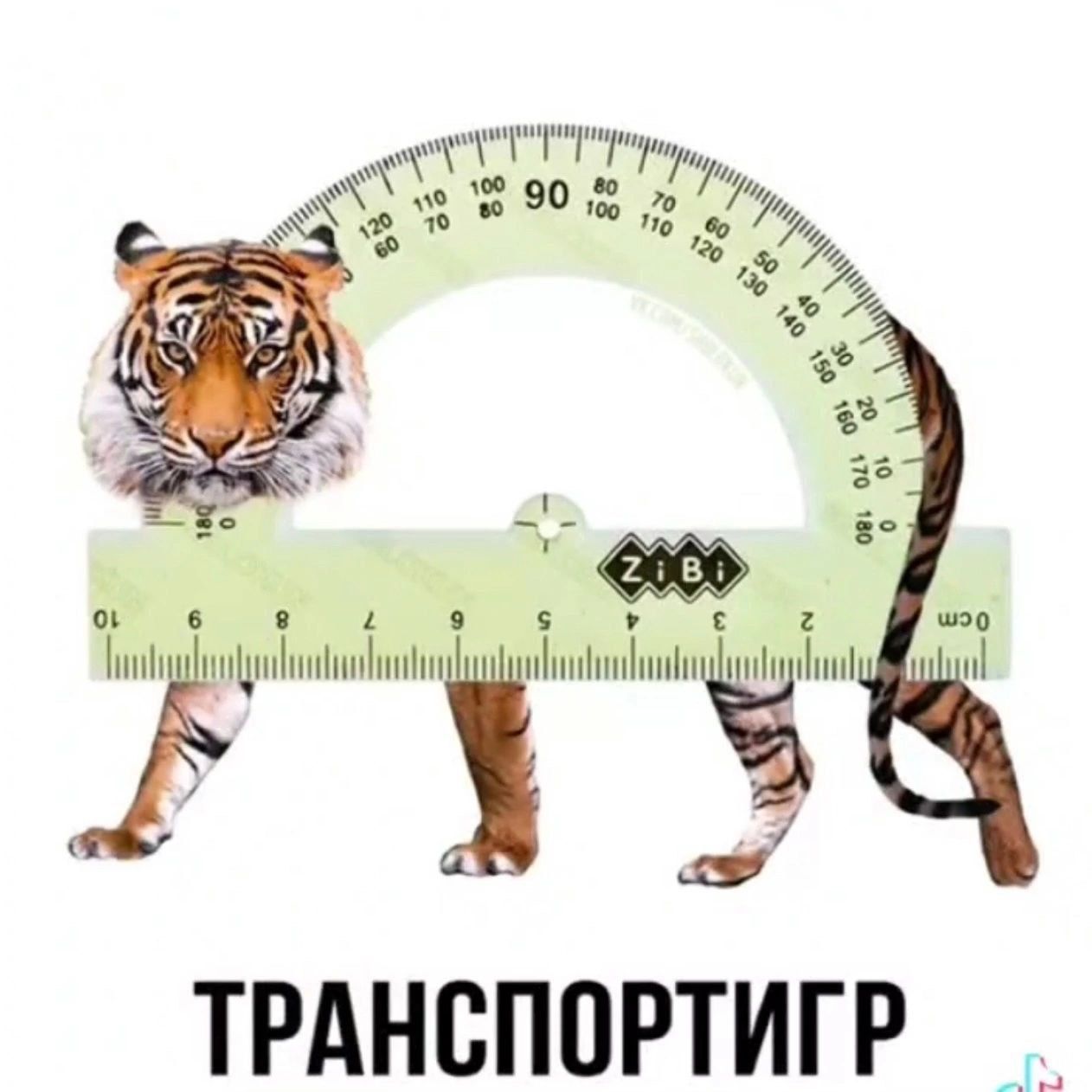 ТРАНСПОРТИГР _