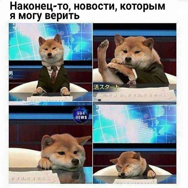 Наконец то новости которым я могу верить Е ча