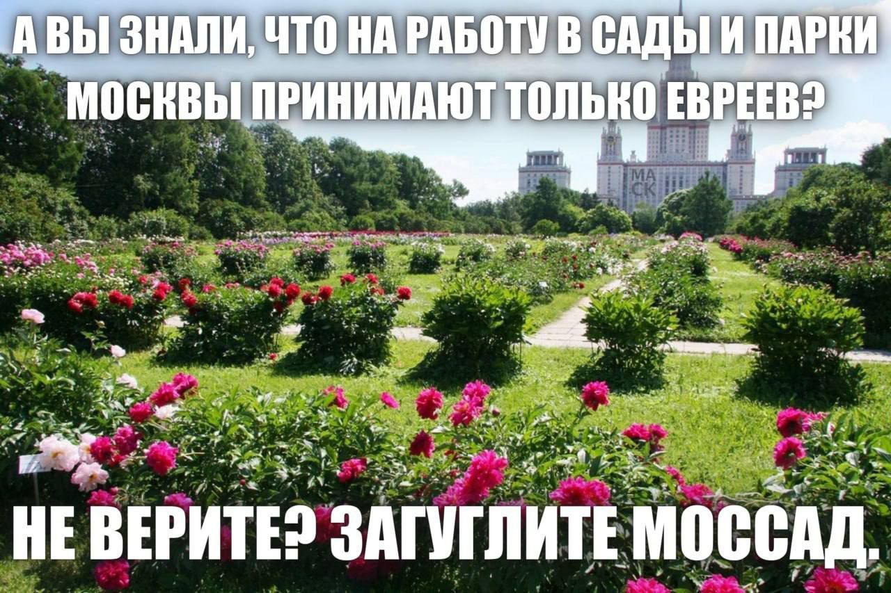 НЕВЕРИТЕ ЗАГУГЛИТЕ МОССАД