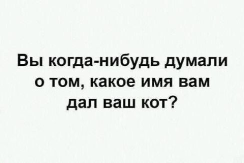 Вы когда нибудь думали о том какое имя вам дал ваш кот