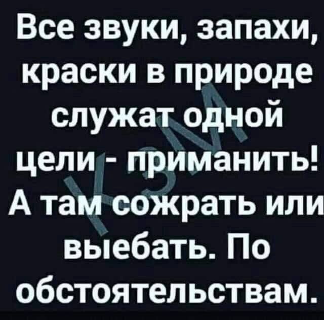 Все звуки запахи краски в природе служат одной цели приманить А тамсожрать или выебать По обстоятельствам