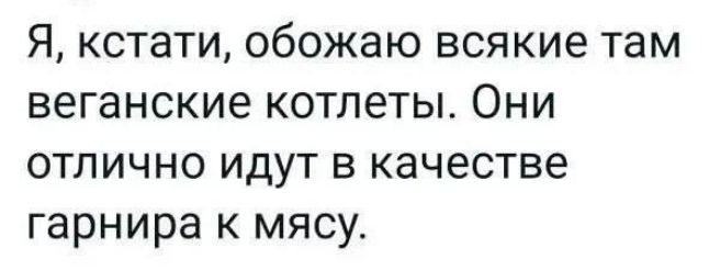 Я кстати обожаю всякие там веганские котлеты Они отлично идут в качестве гарнира к мясу