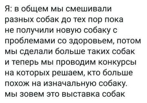 Я в общем мы смешивали разных собак до тех пор пока не получили новую собаку с проблемами со здоровьем потом мы сделали больше таких собак и теперь мы проводим конкурсы на которых решаем кто больше похож на изначальную собаку мы зовем это выставка собак