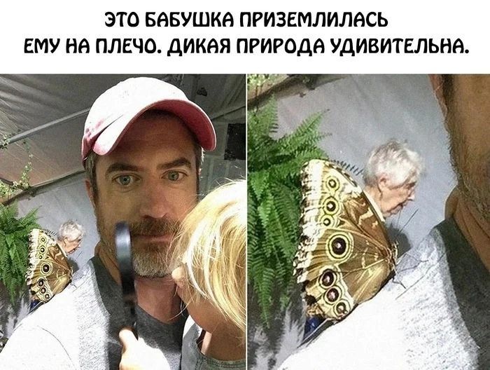 ЭТО БАБУШКА ПРИЗЕМЛИЛАСЬ ЕМУ НА ПЛЕЧО ДИКАЯ ПРИРОДА УДИВИТЕЛЬНА