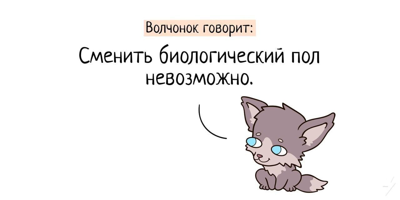 Волчонок говорит Сменить биологический пол невозможно