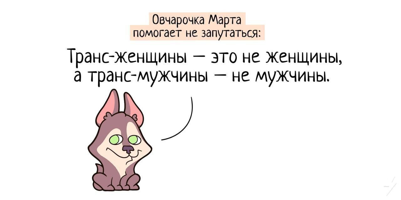 Овчарочка Марта помогает не запутатыся Транс женщины это не женщины а транс мужчины не мужчины ёі