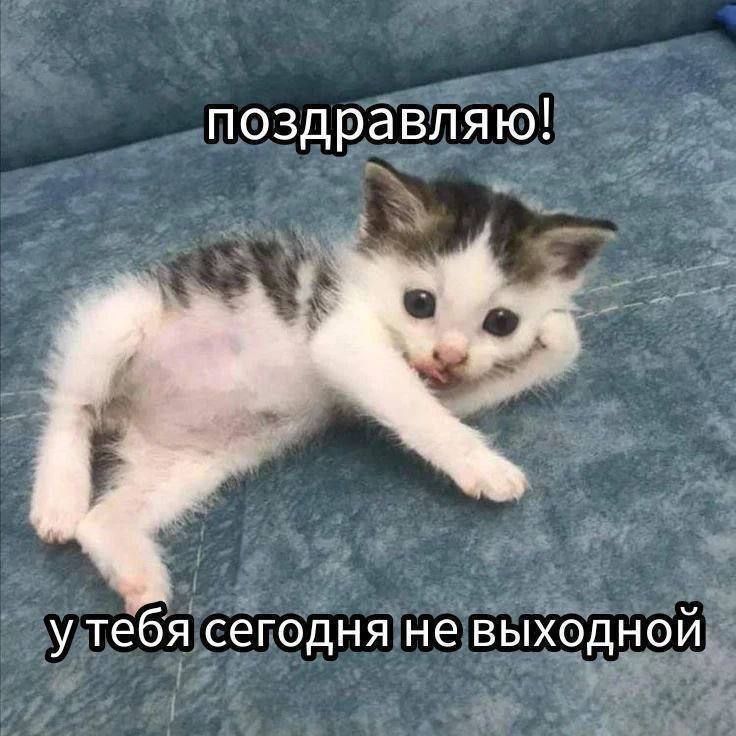 поздравляю Р нра