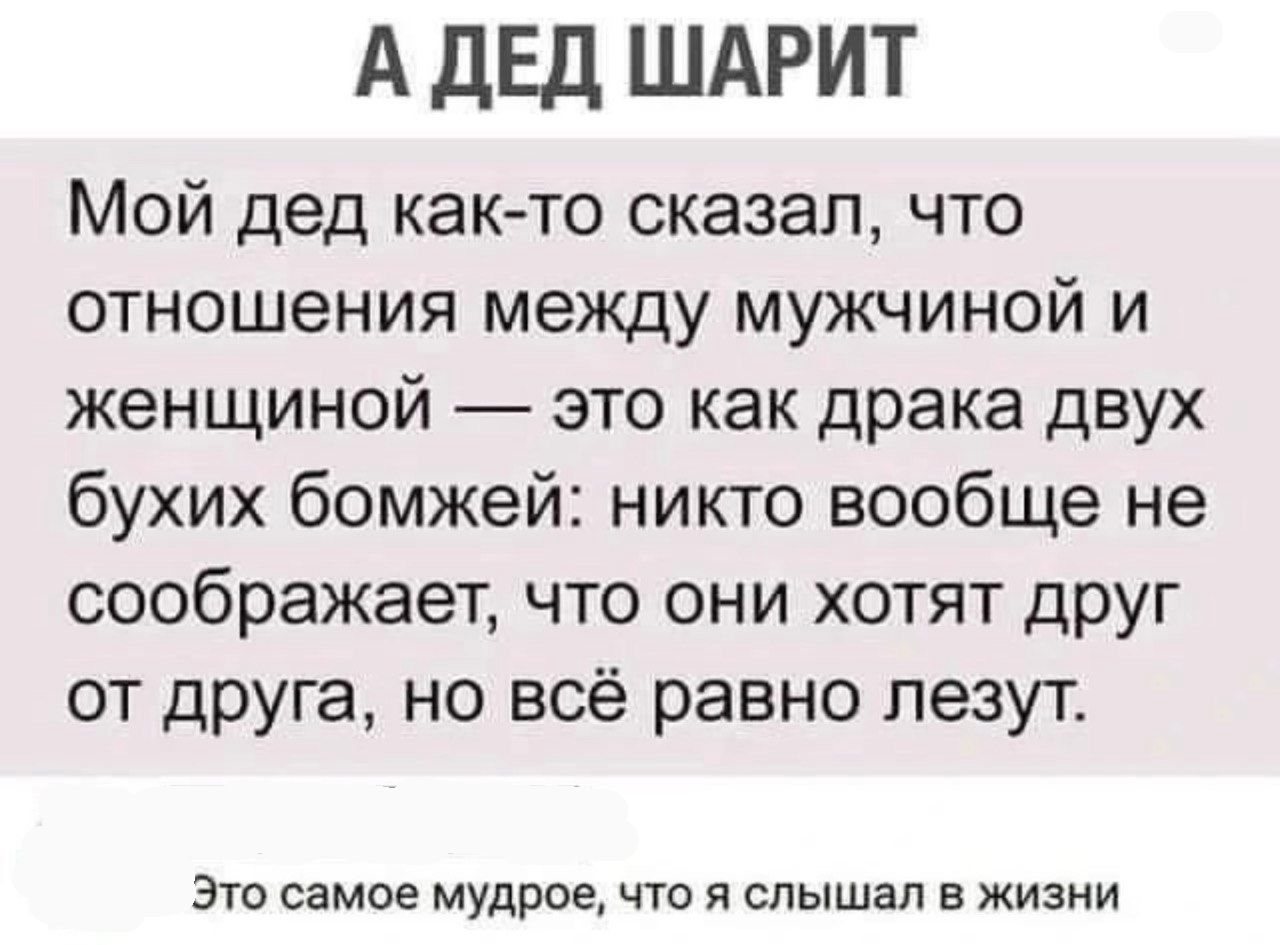 А ДЕД ШАРИТ Мой дед как то сказал что отношения между мужчиной и женщиной это как драка двух бухих бомжей никто вообще не соображает что они хотят друг от друга но всё равно лезут Это самое мудрое что я слышал в жизни