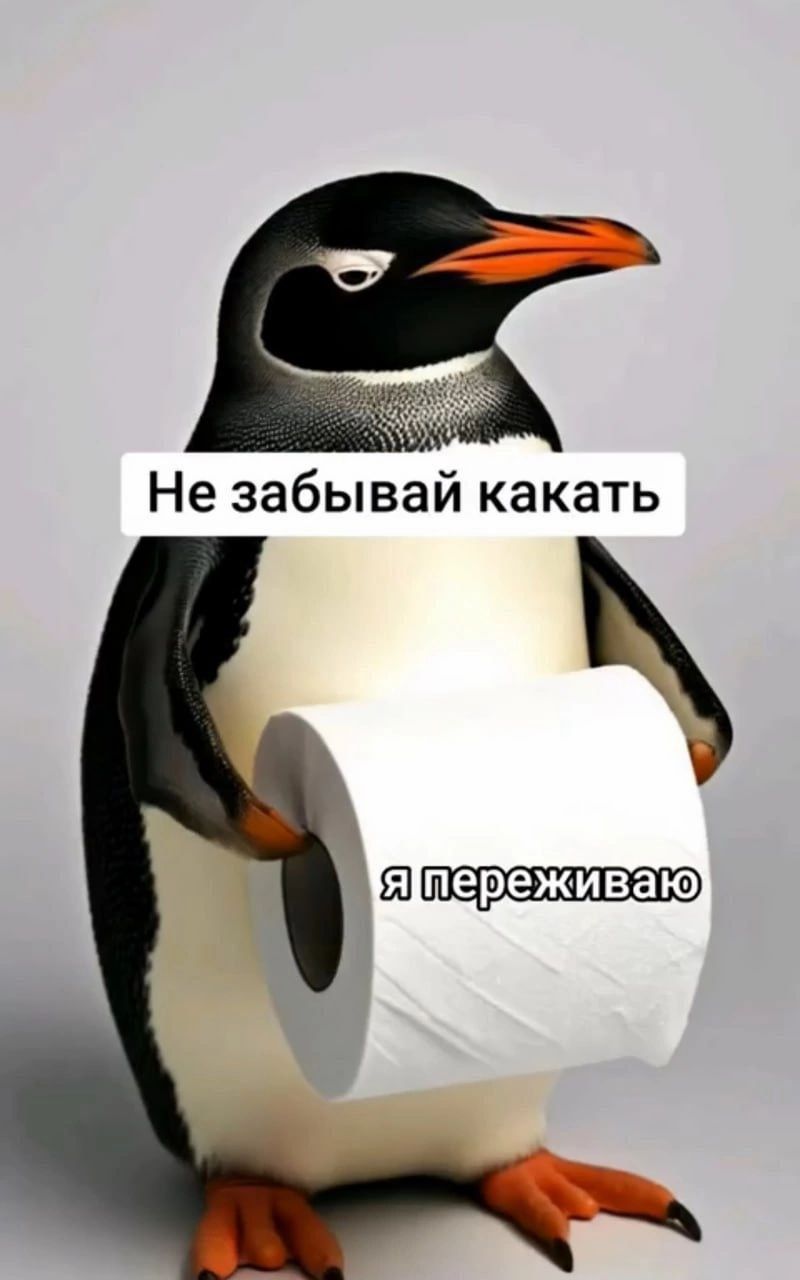 ы Не забывай какать япереживаю