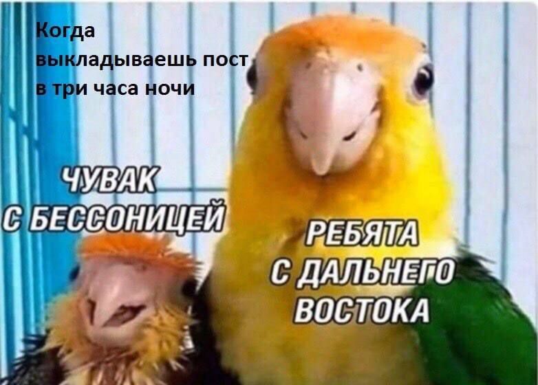 атпваешь пост часа ноч