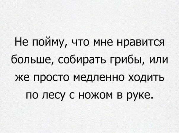 Не пойму что мне нравится больше собирать грибы или же просто медленно ходить по лесу с ножом в руке