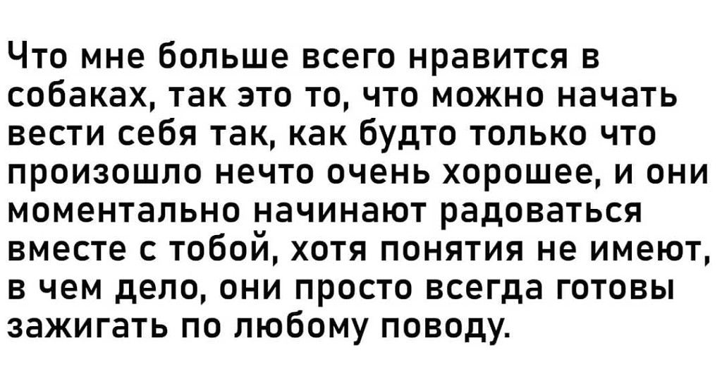 Что мне больше всего нравится в собаках так это то что можно начать вести себя так как будто только что произошло нечто очень хорошее и они моментально начинают радоваться вместе с тобой хотя понятия не имеют в чем дело они просто всегда готовы зажигать по любому поводу