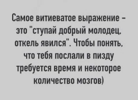 Самое витиеватое выражение это ступай добрый молодец откель явился Чтобы понять что тебя послали в пизду требуется время и некоторое количество мозгов