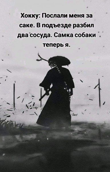 Хокку Послали меня за саке В подъезде разбил двасосуда Самка собаки теперь я