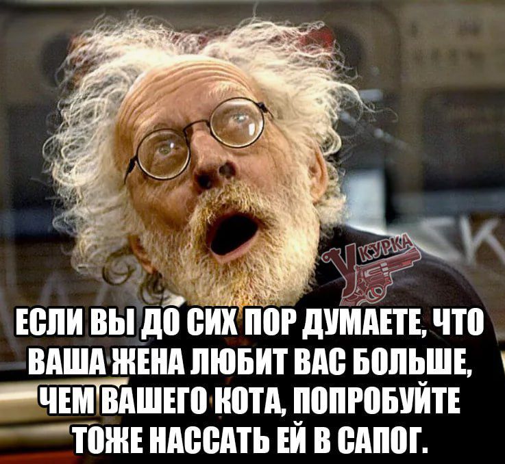 ОР дУШЕТЕ Что ВАША ЖЕНА ЛЮБИТ ВАС БОЛЬШЕ НАЧЕМИВАШЕГО КОТА ПОПРОБУЙТЕ ТОНЕ НАССАТЬ ЕЙ В САПОГ