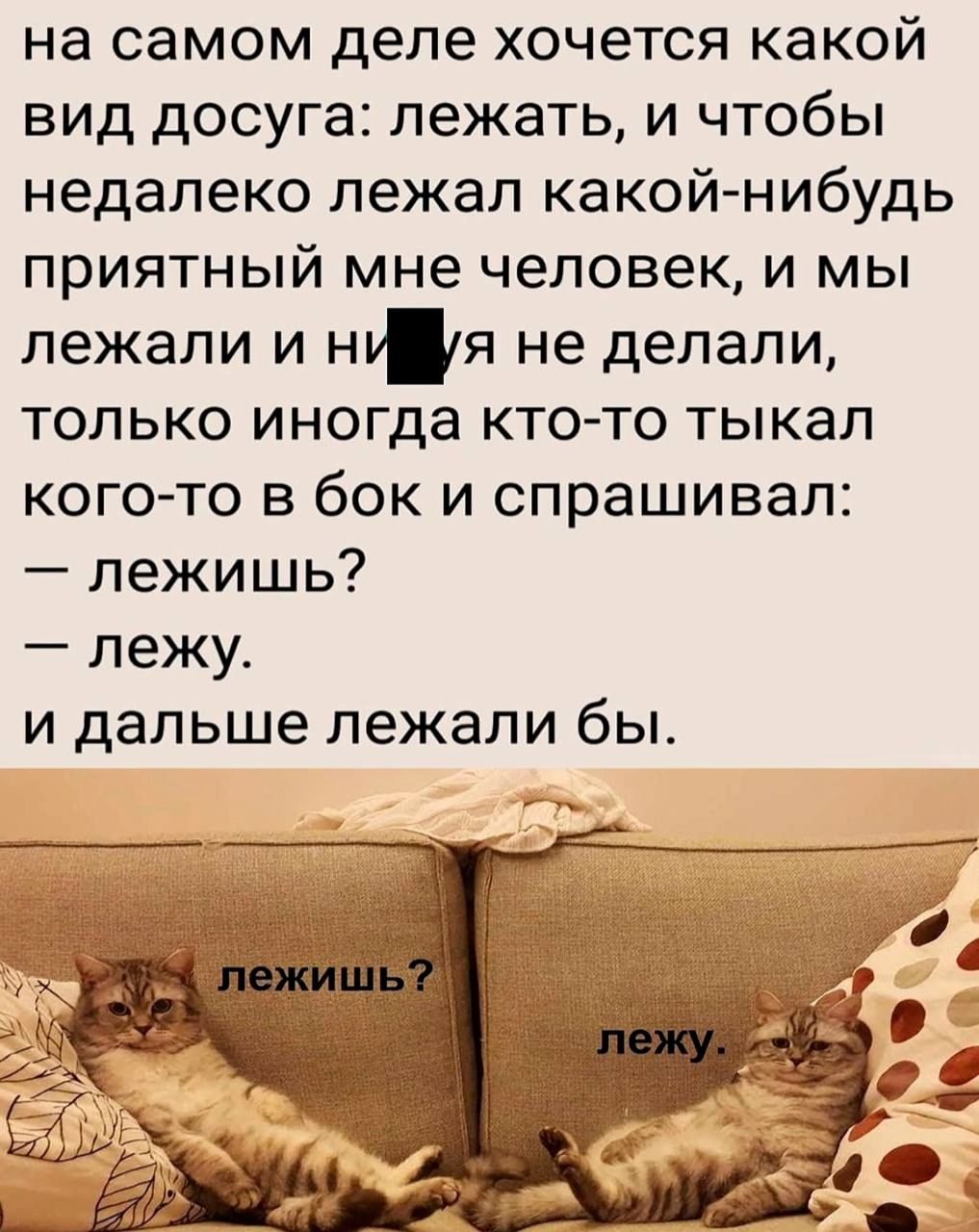 на самом деле хочется какой вид досуга лежать и чтобы недалеко лежал какой нибудь приятный мне человек и мы лежали и нья не делали только иногда кто то тыкал кого то в бок и спрашивал лежишь лежу и дальше лежали бы