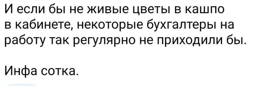 И если бы не живые цветы в кашпо в кабинете некоторые бухгалтеры на работу так регулярно не приходили бы Инфа сотка