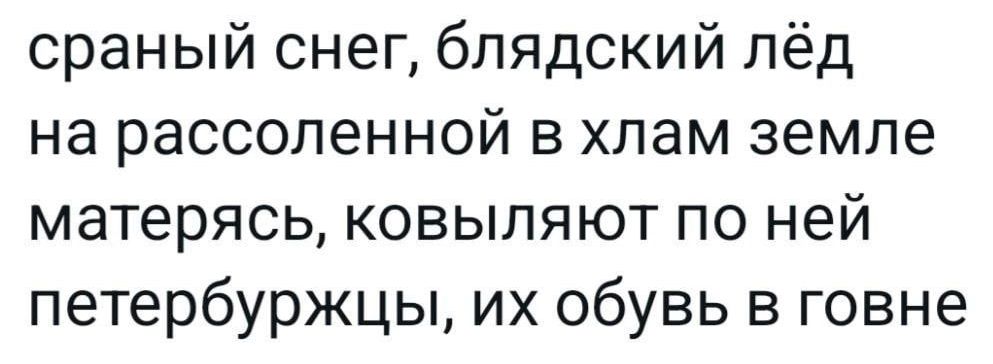 сраный снег блядский лёд на рассоленной в хлам земле матерясь ковыляют по ней петербуржцы их обувь в говне