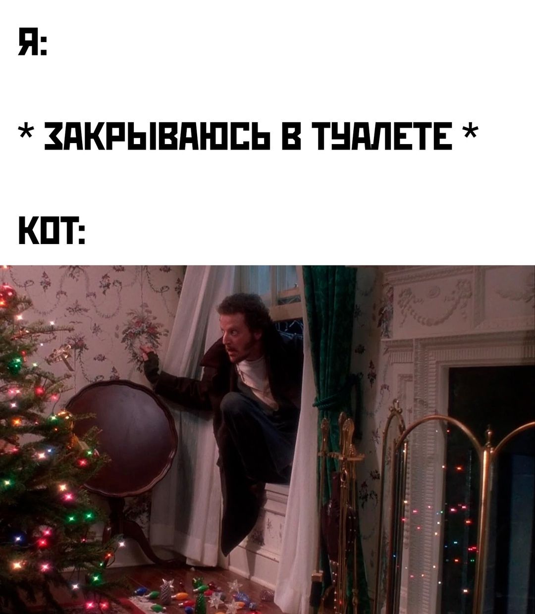 ЗАКРЫВАЮСЬ В ТУАЛЕТЕ КОТ