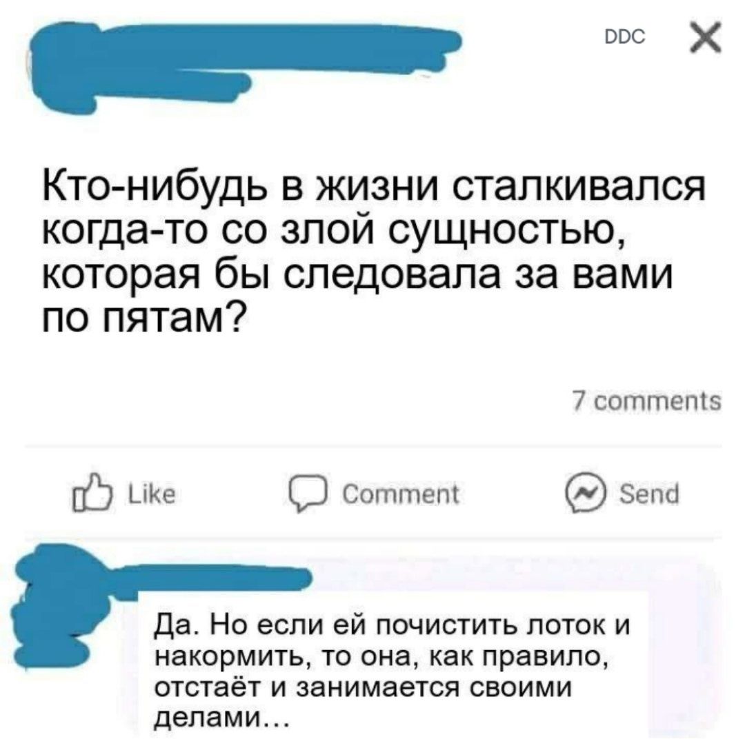 _ е Кто нибудь в жизни сталкивался когда то со злой сущностью которая бы следовала за вами по пятам 7 соттет5 075 ке СЭ соттеп епа Да Но если ей почистить лоток и накормить то она как правило отстаёт и занимается своими делами