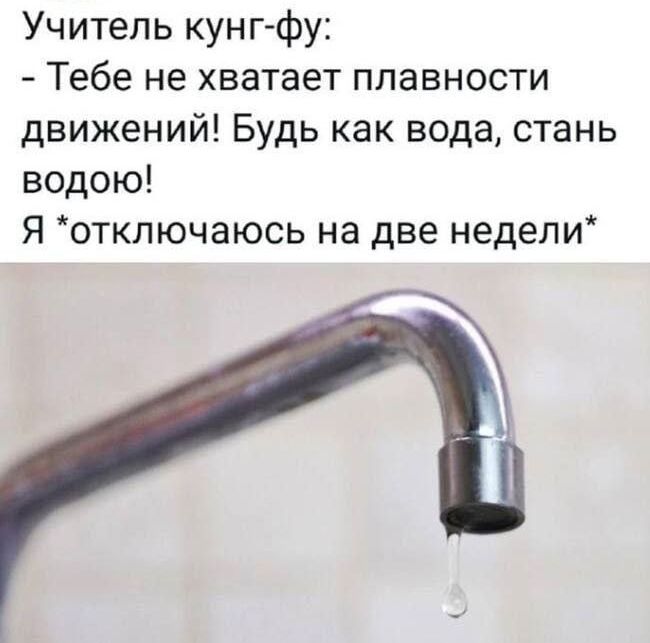 Учитель кунг фу Тебе не хватает плавности движений Будь как вода стань водою Я отключаюсь на две недели