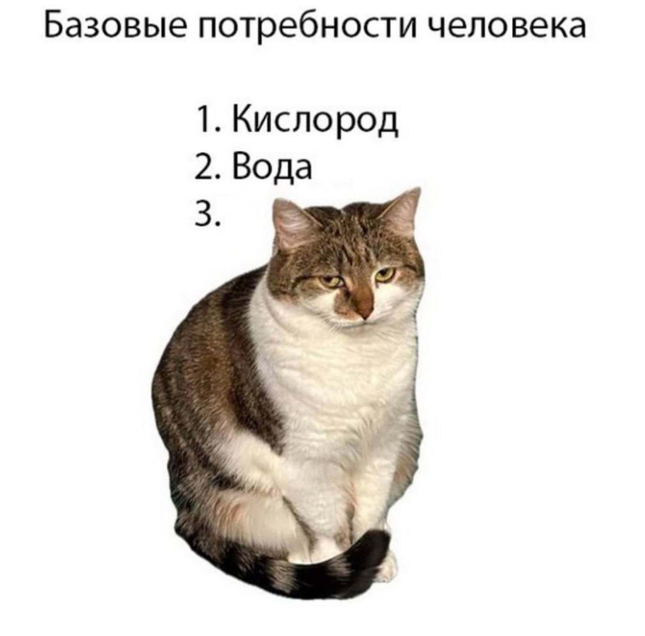 Базовые потребности человека 1 Кислород 2 Вода В