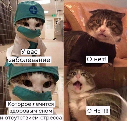 Которое лечится здоровым сном и отсутствием стресса