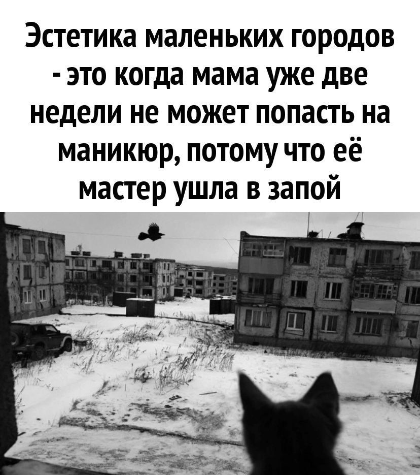 Эстетика маленьких городов это когда мама уже две недели не может попасть на маникюр потому что её мастер ушла в запой _