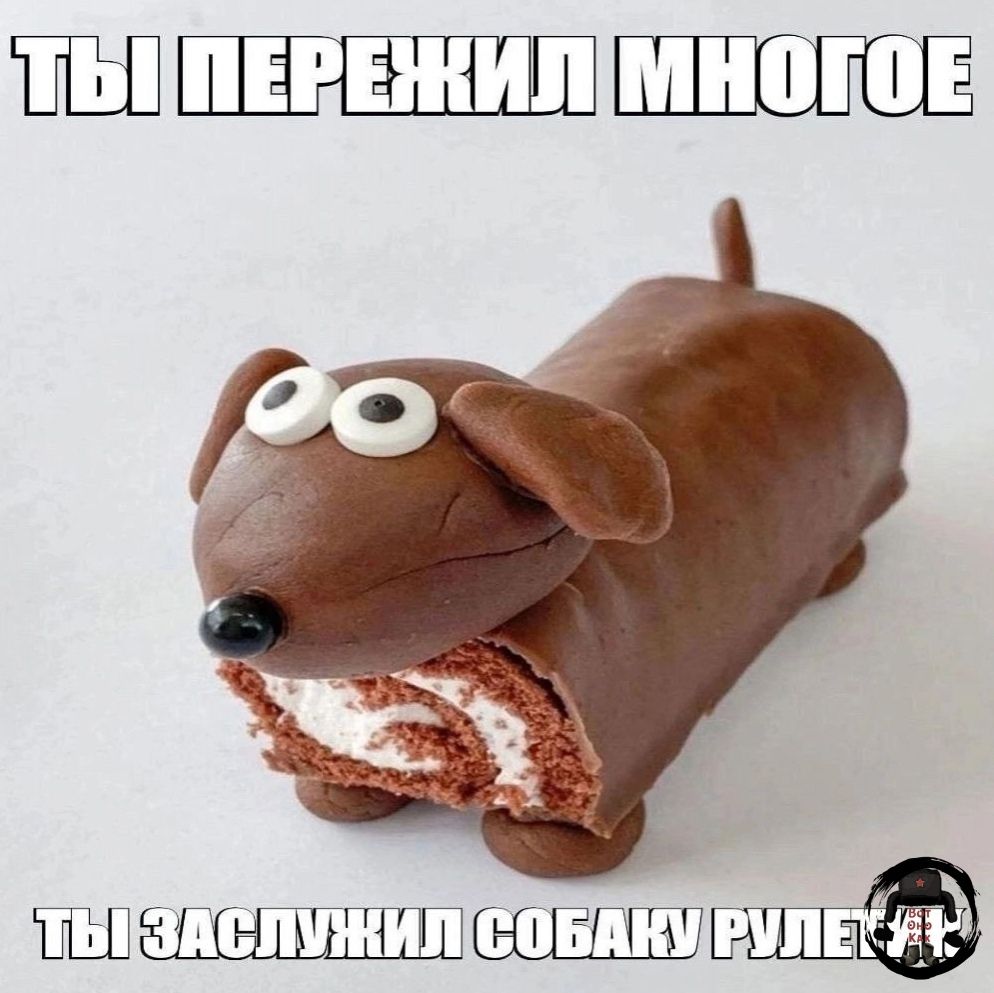 ВИЗАСЛУЖИЛ СОБАКИРУЛ