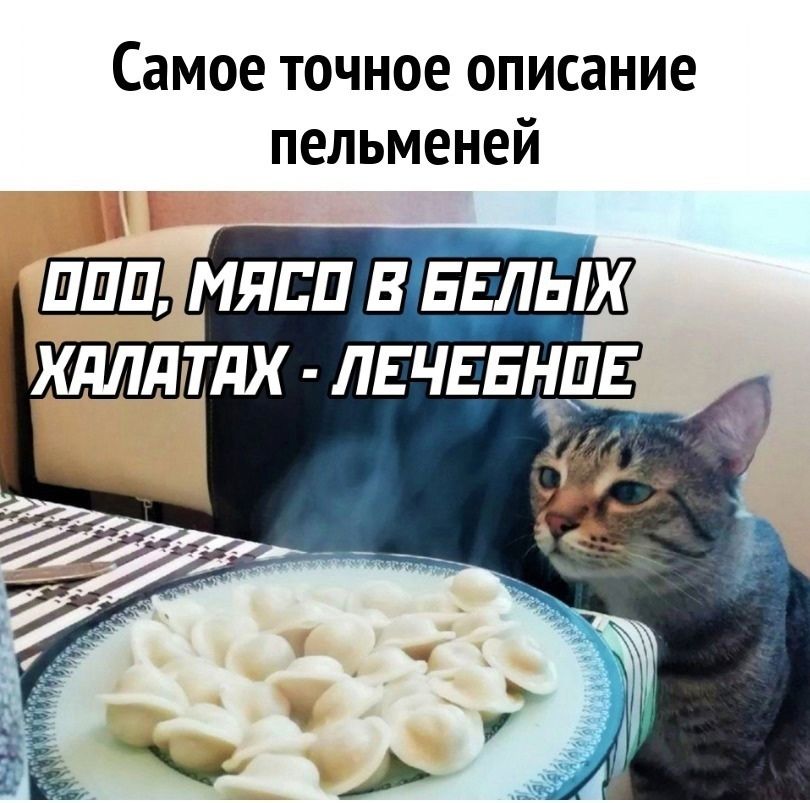 Самое точное описание пельменей МЯСО ВБЕЛЬГ ХдЛдТдХ ЛЕЧЕБНОЕ