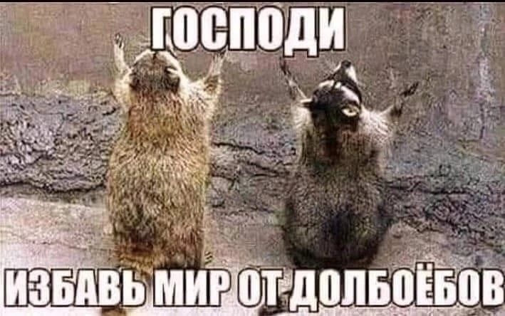 Ёзш БМИР ОТДОЛЬОЁБОВ