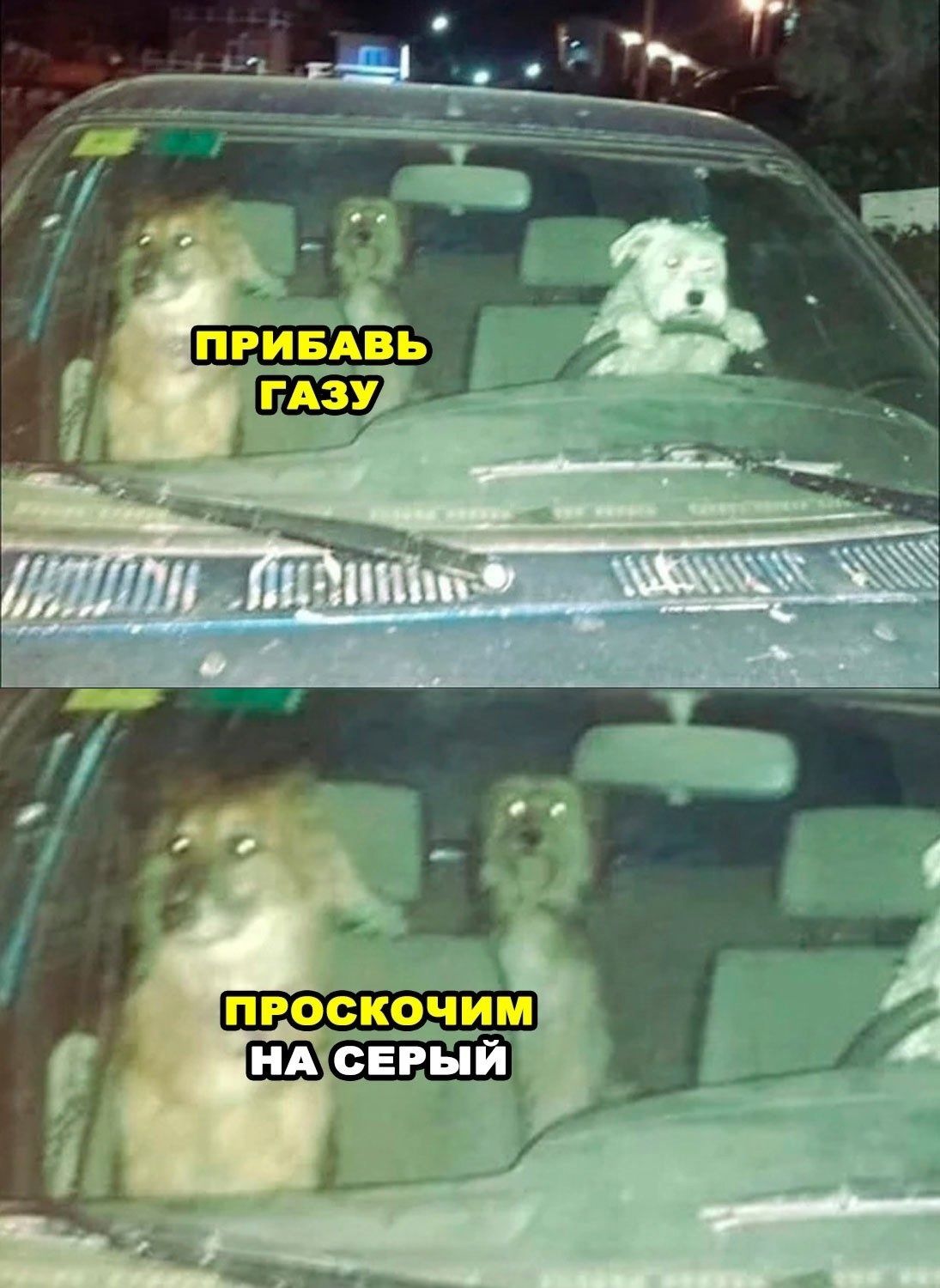 ПРОСКОЧИМ НАДСЕРЫЙ